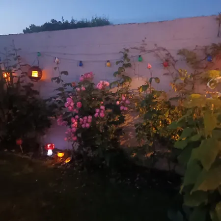 Ideal One Bedroom In Oo Kildare Naas